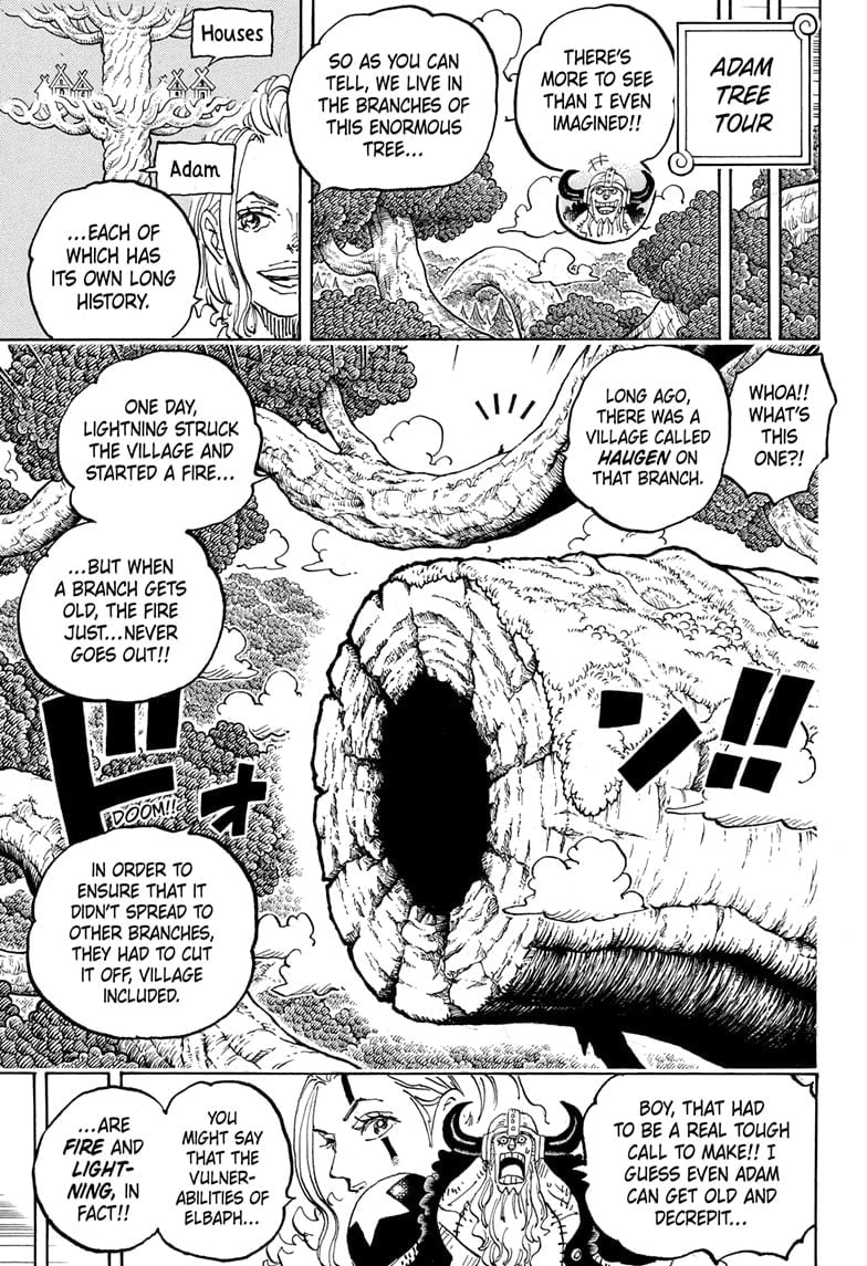 One Piece, Chapter 1141 image 03